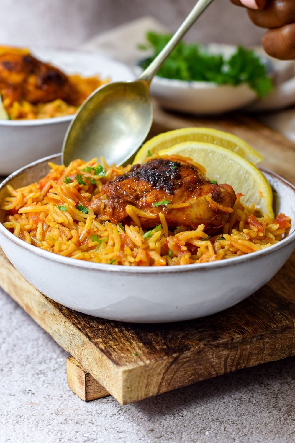 Spanish Rice and Chicken