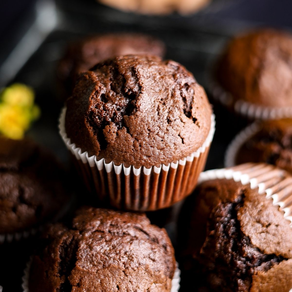 Moist Chocolate Muffins