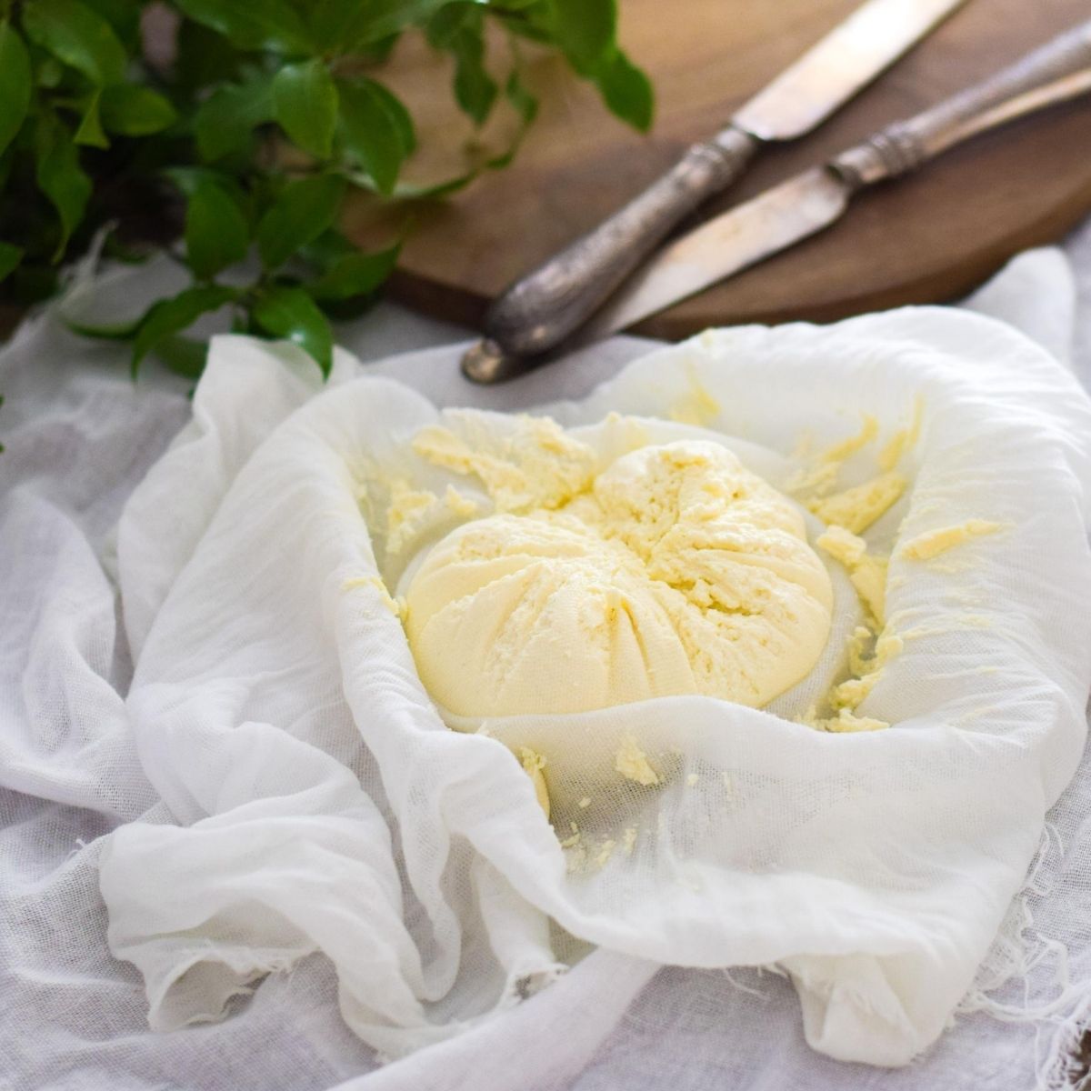 Easy Paneer Recipe