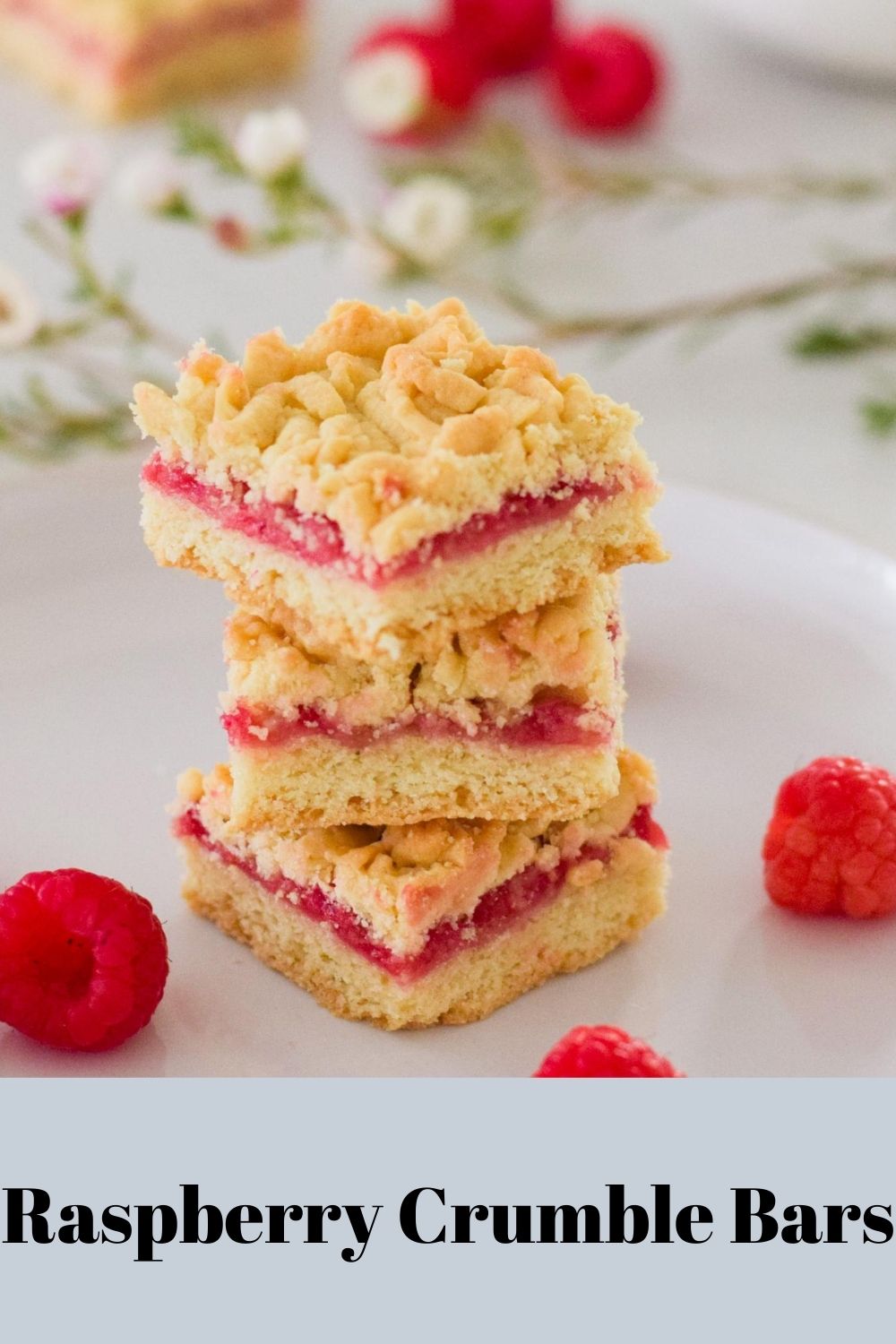 Raspberry Crumble Bars on a white plate