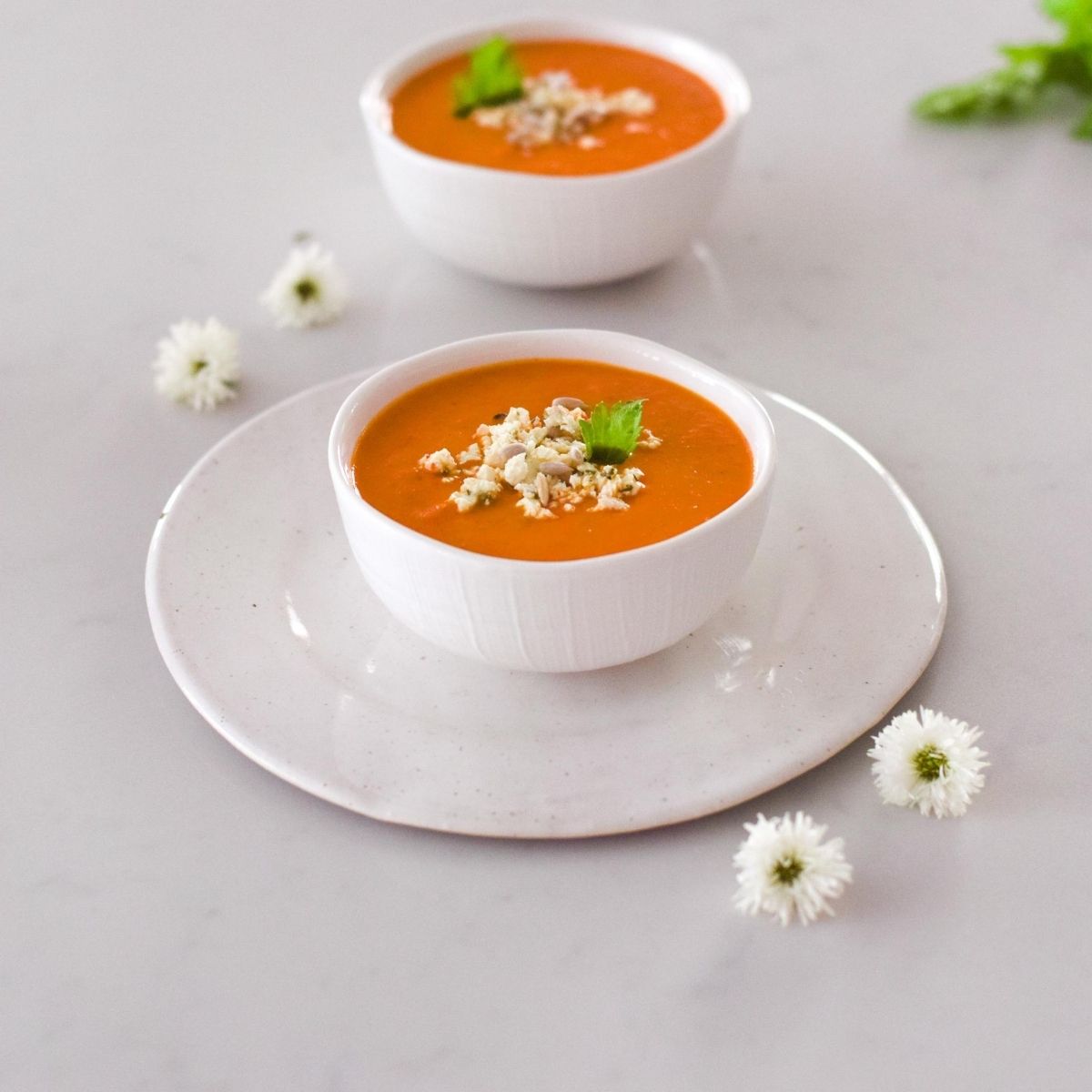 Tomato Coconut Soup