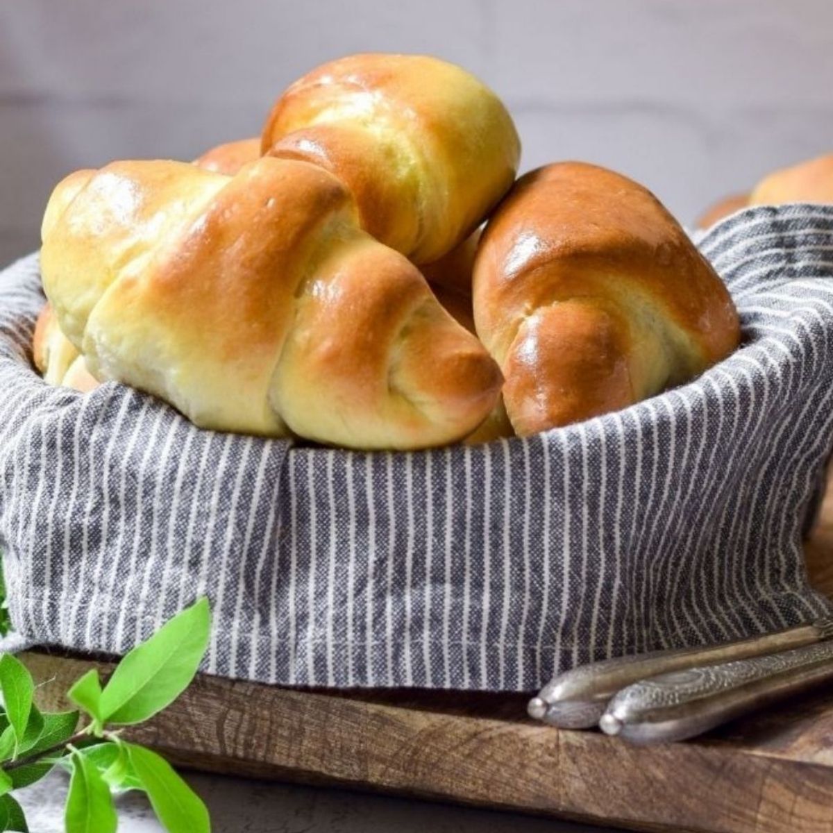 Easy Homemade Crescent Rolls
