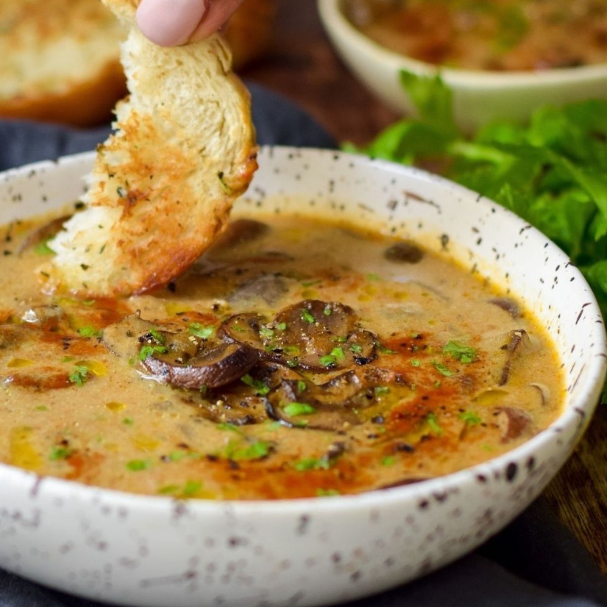 Hungarian Mushroom Soup