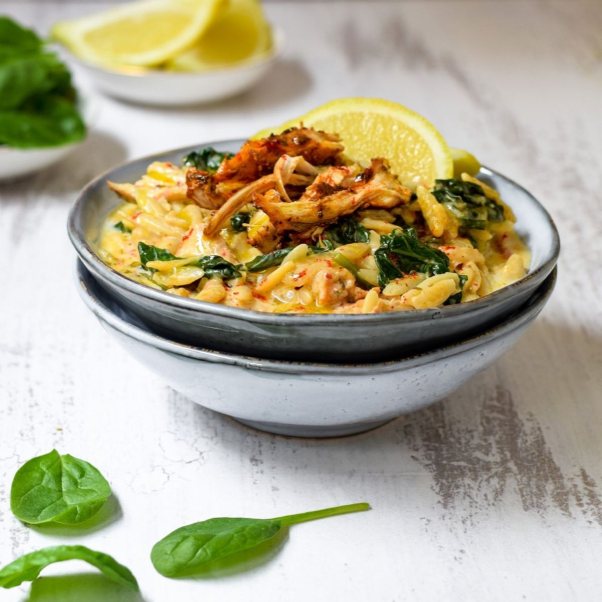 One Pot Paprika Lemon Chicken with Orzo