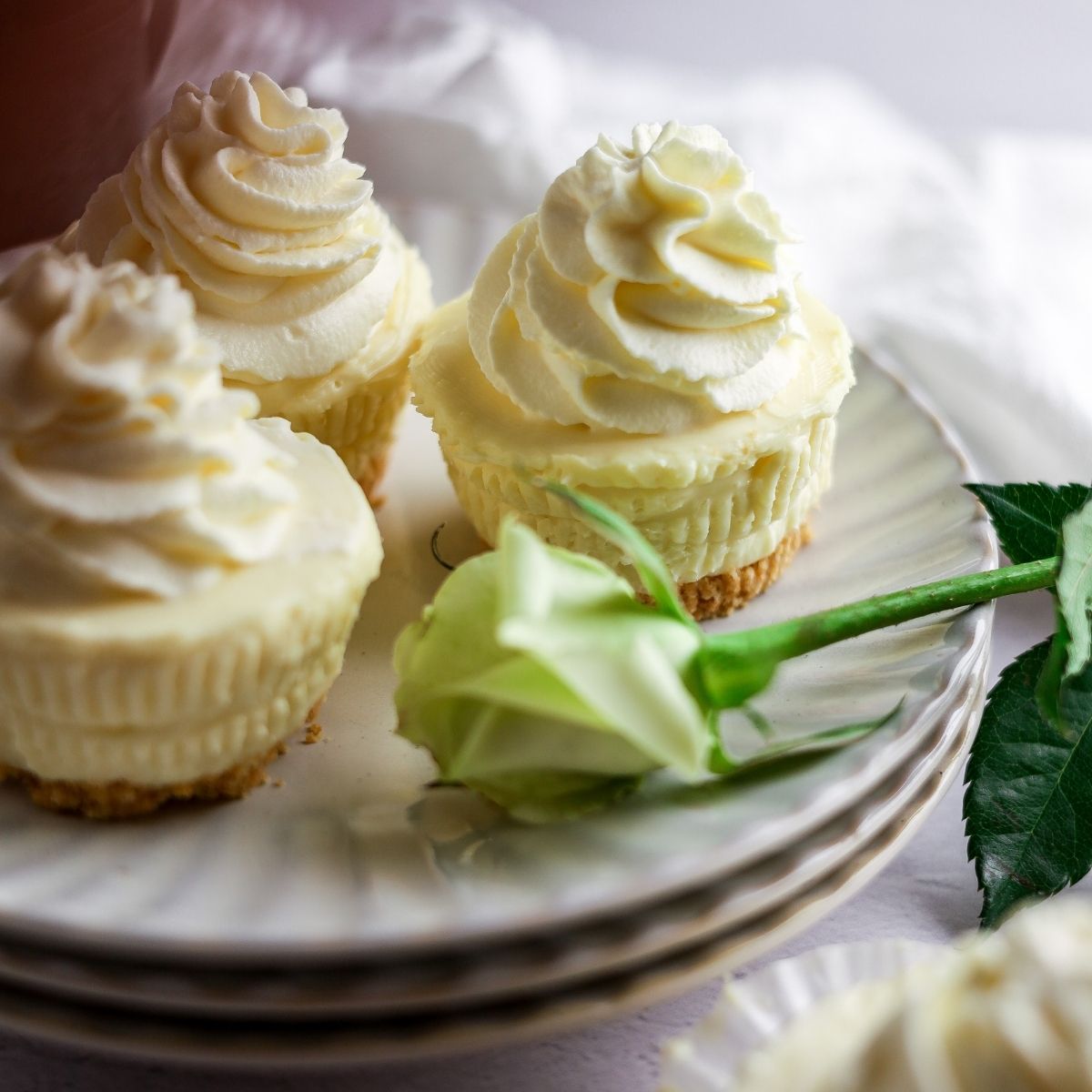 Mini Lemon Cheesecake