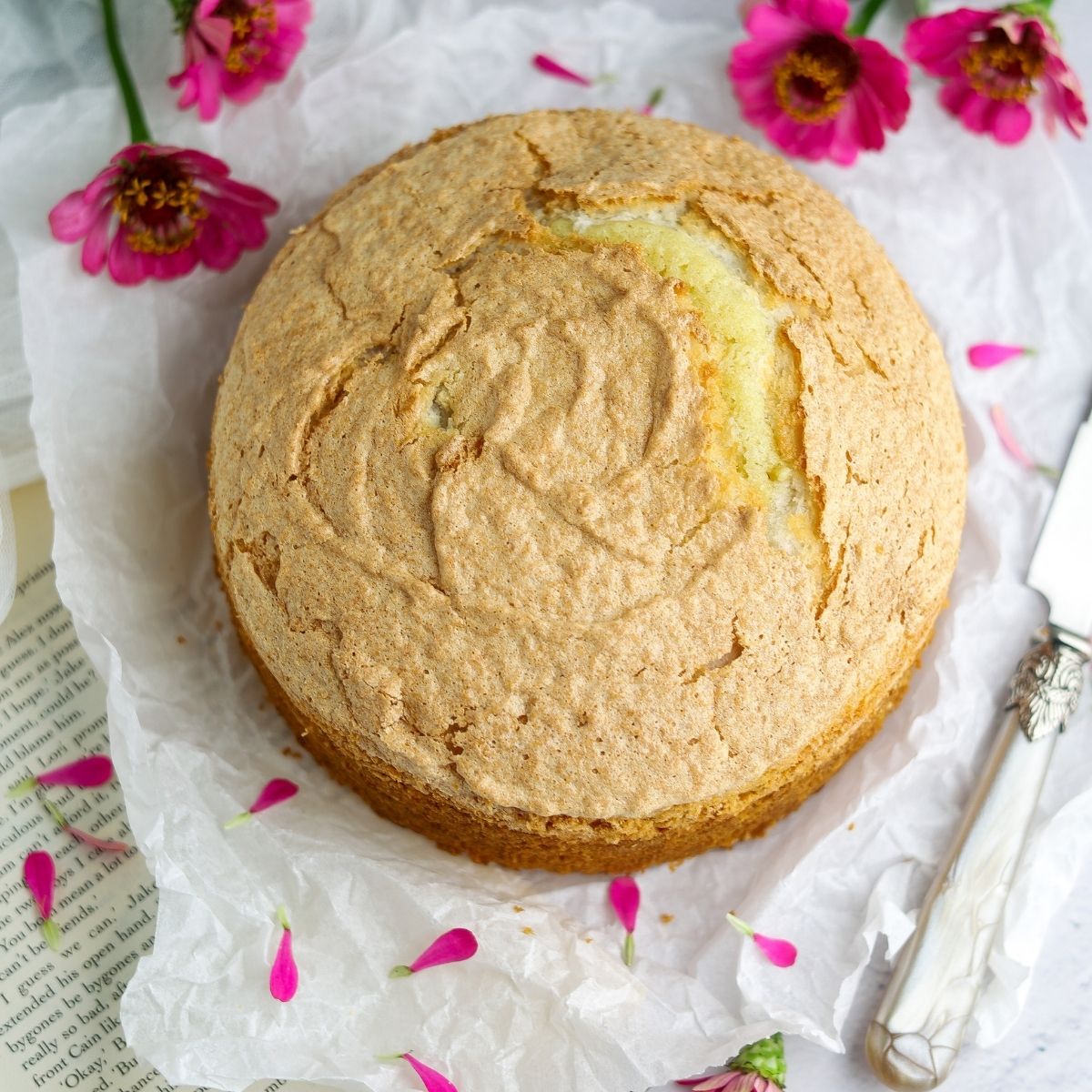 Coconut Meringue Cake